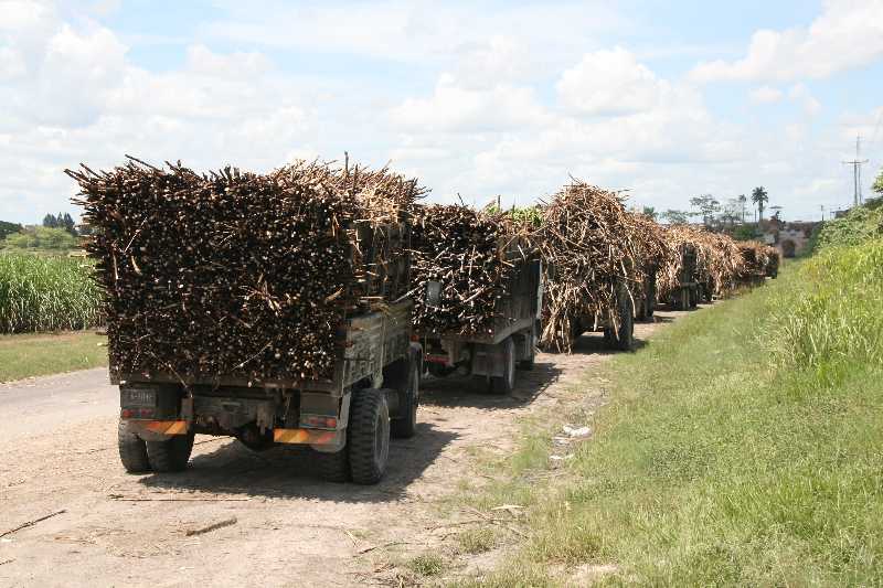 Mexico & Guatemala 2010 - 1193